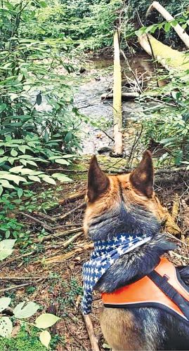 The outdoors offers mental health benefits